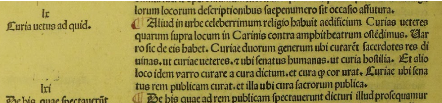 Close up of text from a book for Curia Julia